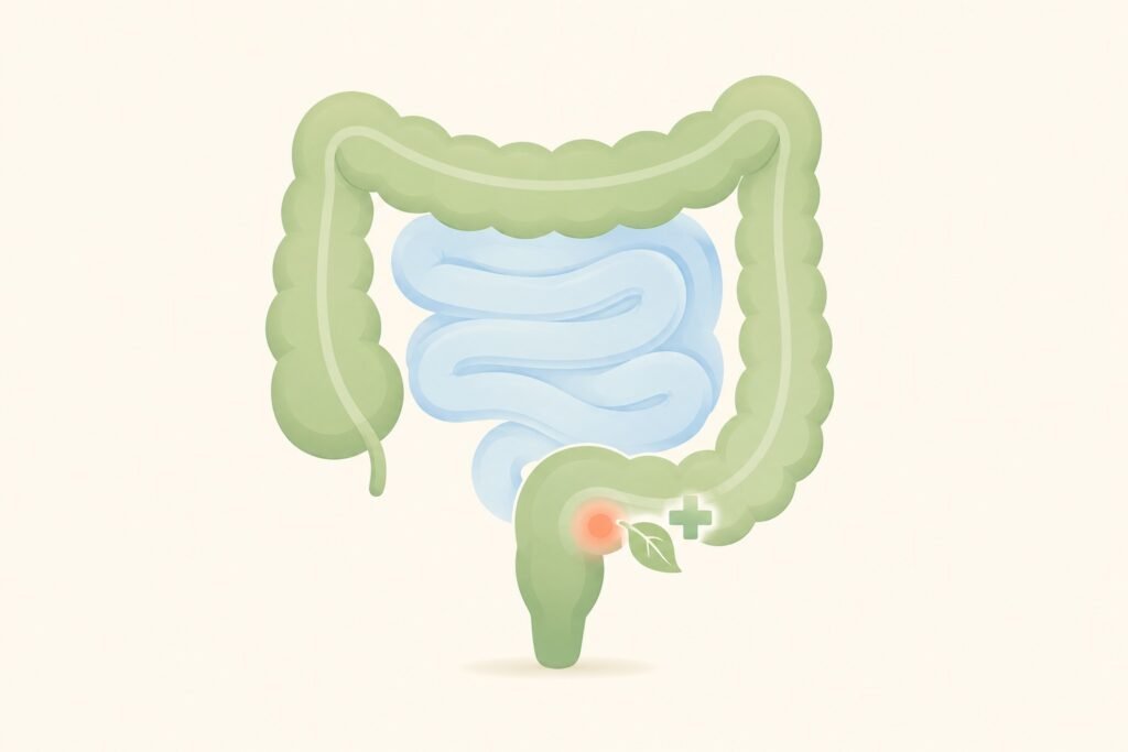 Perianal abscess in babies (पेरिएनल एब्सेस) - illustration of a child lower bowel showing where the abscess forms