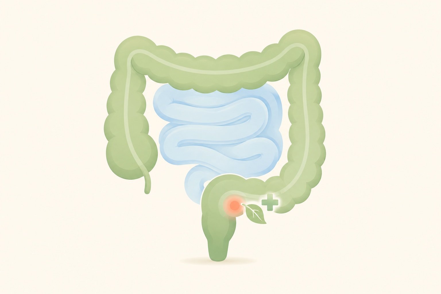 Illustration of a child's lower bowel showing the site of a perianal abscess